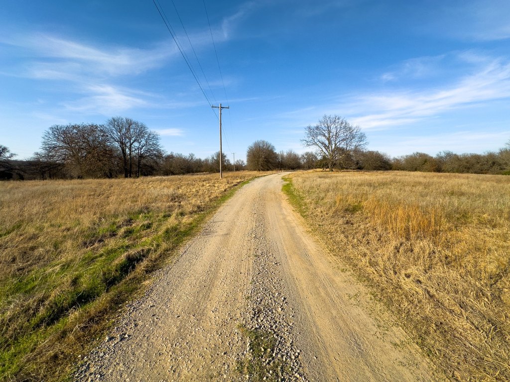 Picture 25