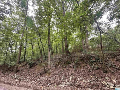LAND - CULLMAN, AL