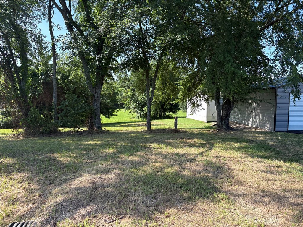 Picture 2