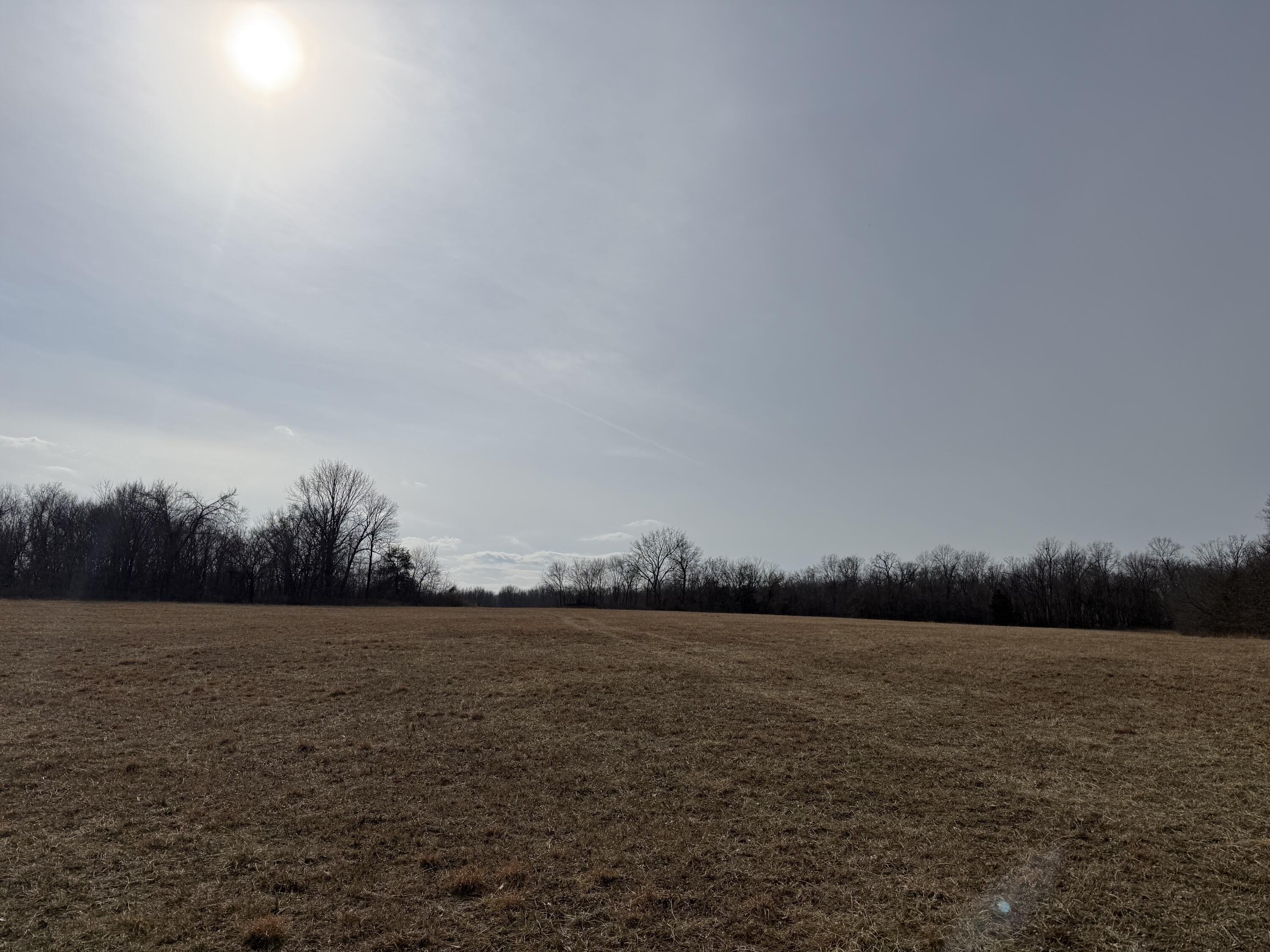 60 Acres of Versatile Land