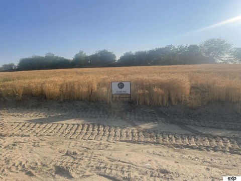 Residential Acreage Lot in Gretna