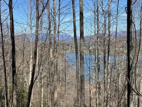 Hiawassee Mountain and Lake View
