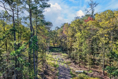 Land, Bonneau, SC
