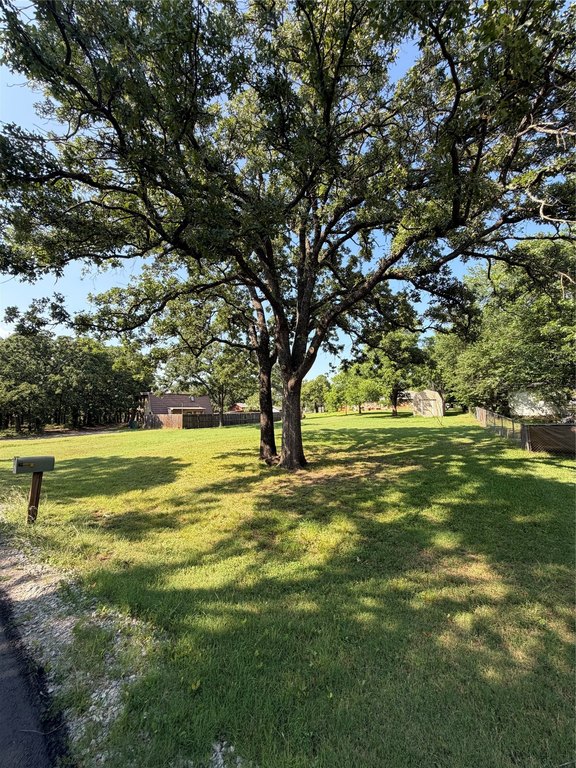 Picture 7