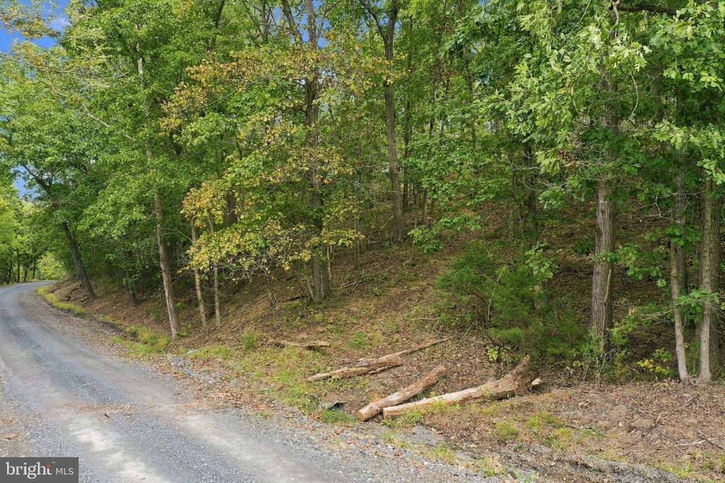 Picture 22
