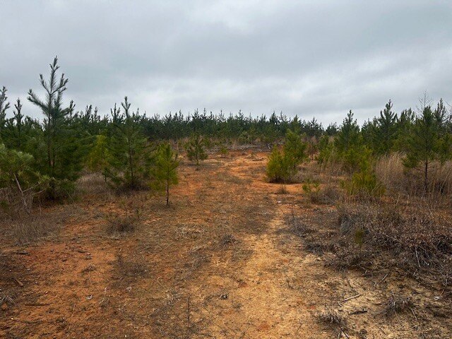 Picture 16