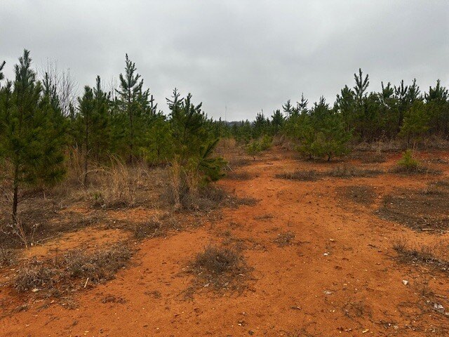 Picture 15