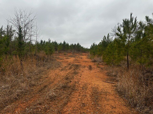 Picture 14