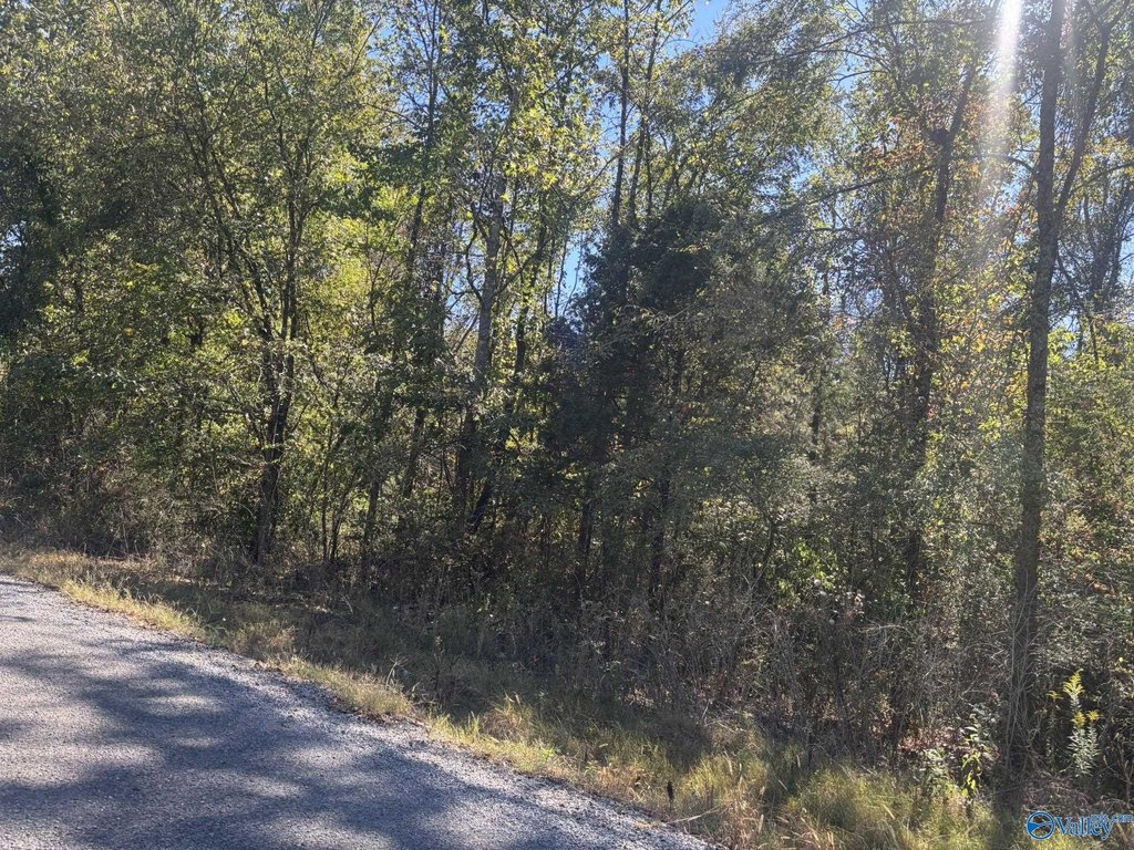 Picture 16