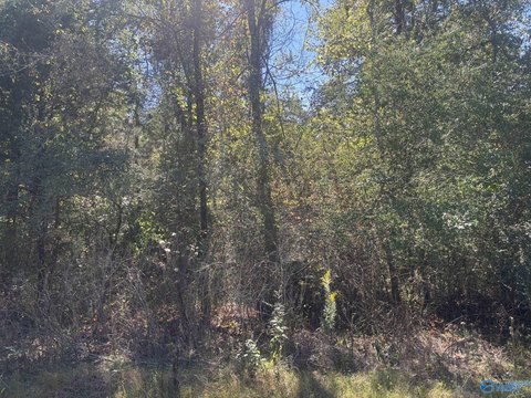 Land, Bridgeport, AL