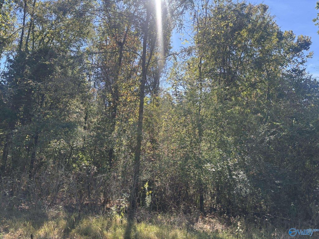 Picture 17
