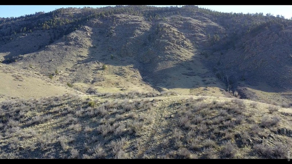 Picture 38