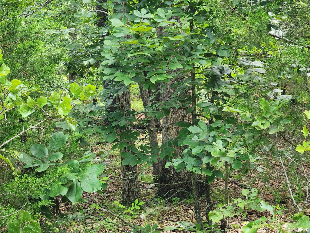 Picture 14
