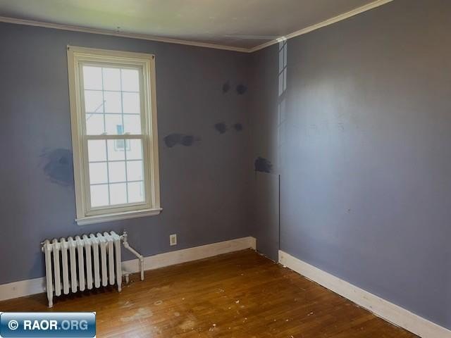 Picture 10