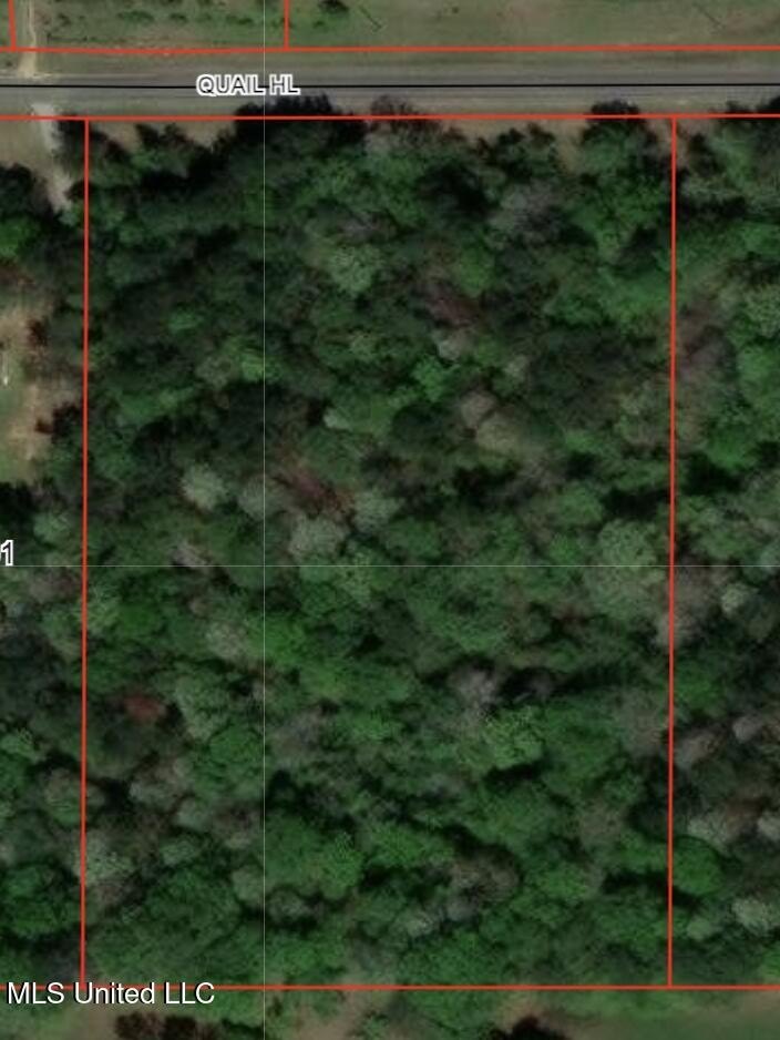 6.39 Acres in Brandon, MS