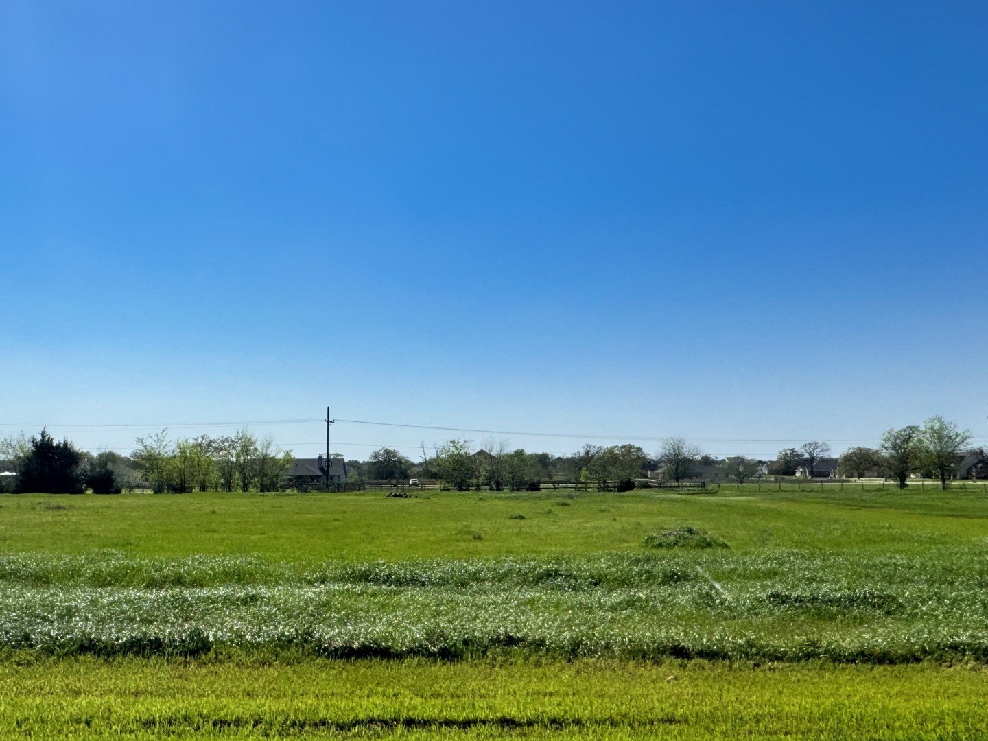 Land in Iola, Texas