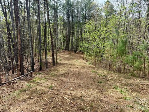 LAND - Nebo, NC