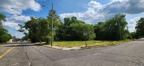 Detroit Land Bundle Opportunity