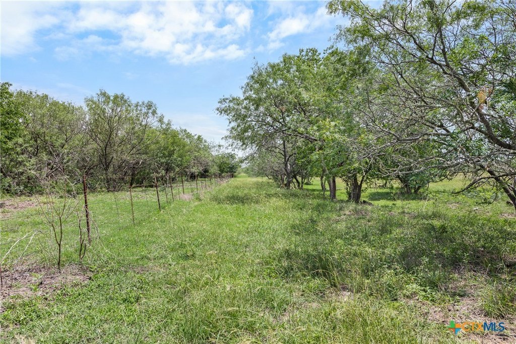Picture 30