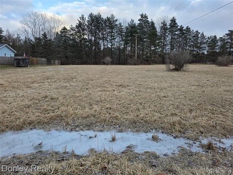 Residential Lot in Marlette, MI