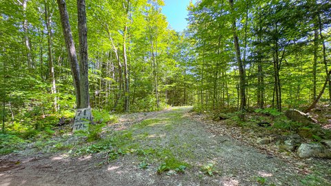 Land, Bridgton, ME