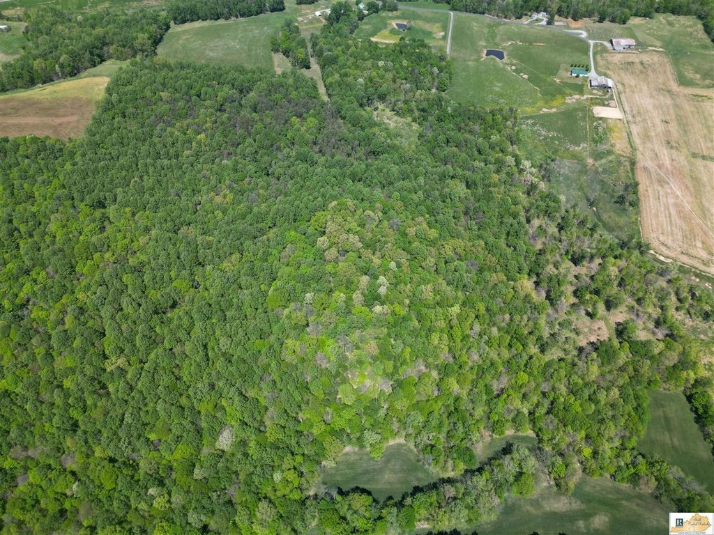 Picture 13