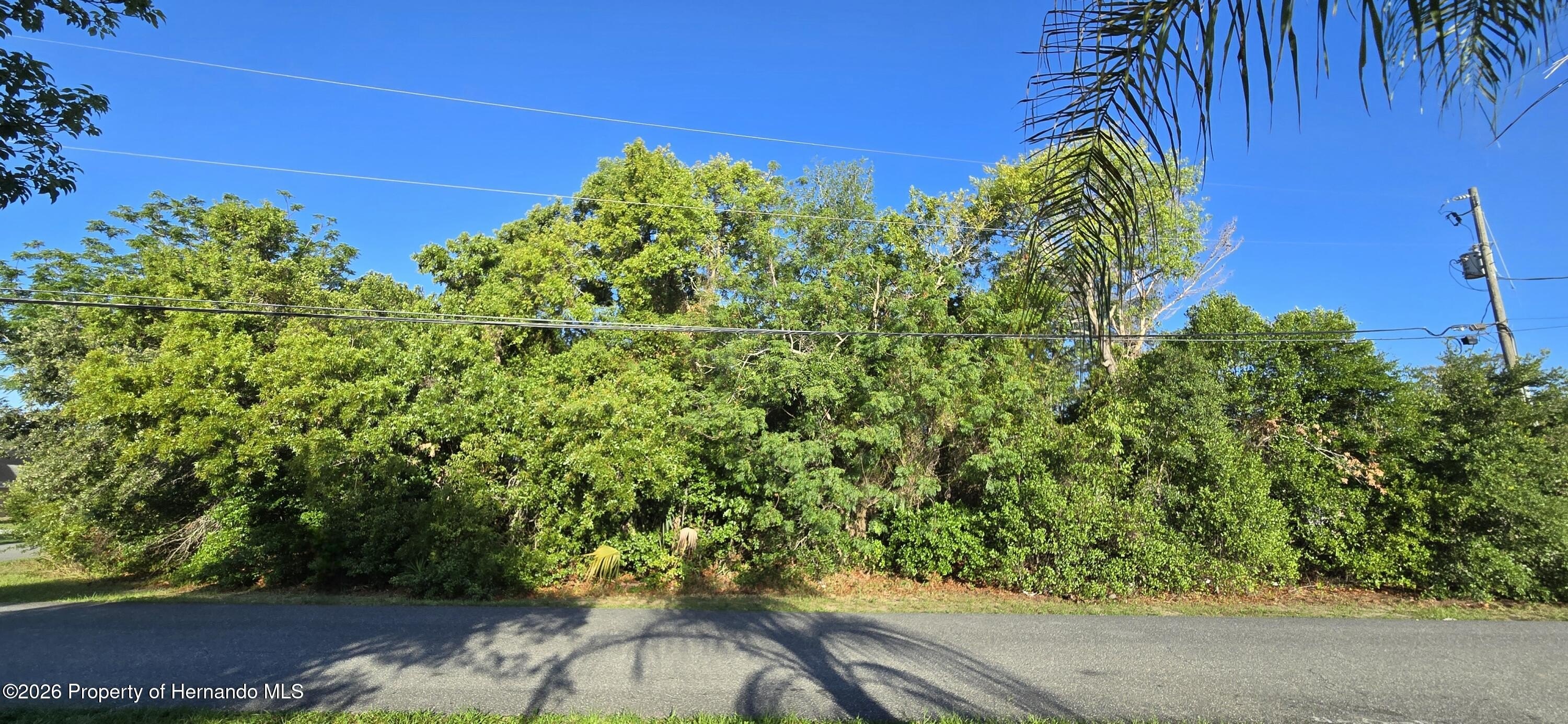 Residential Land in Spring Hill