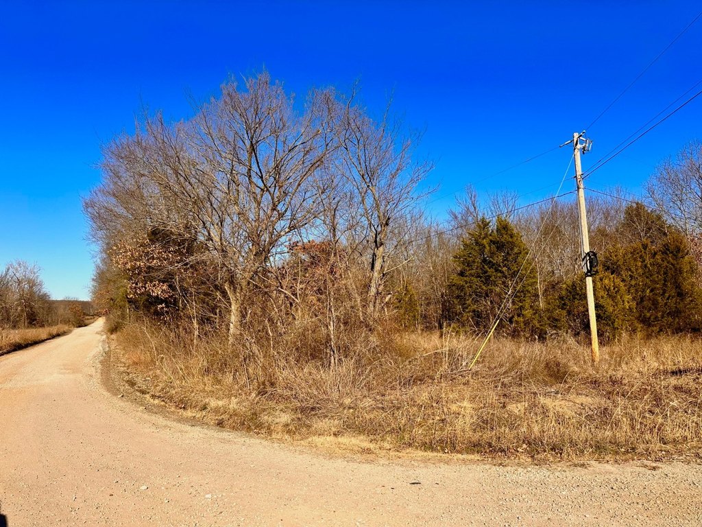 Picture 46