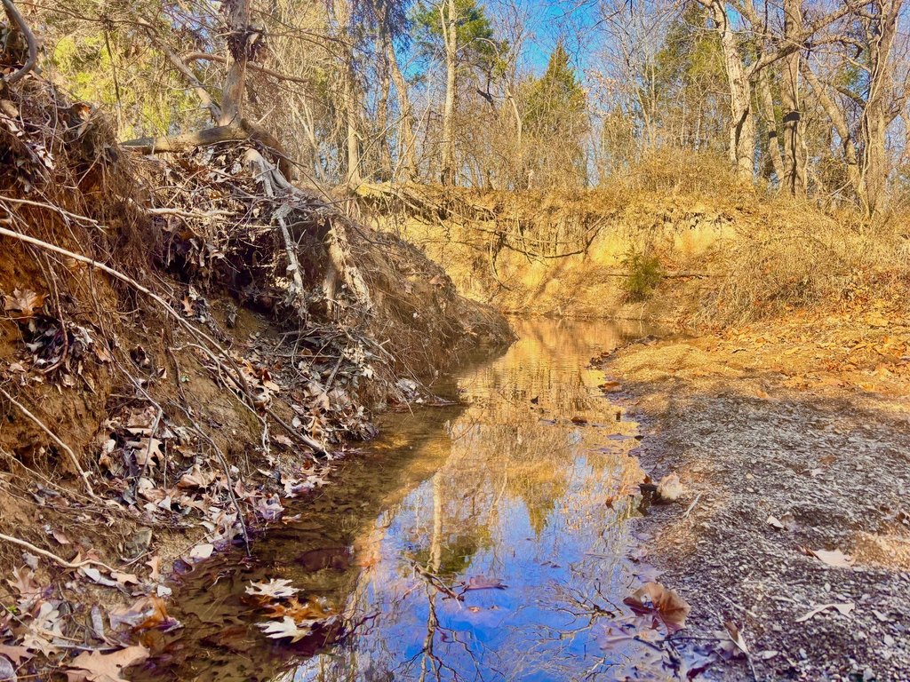 Picture 41