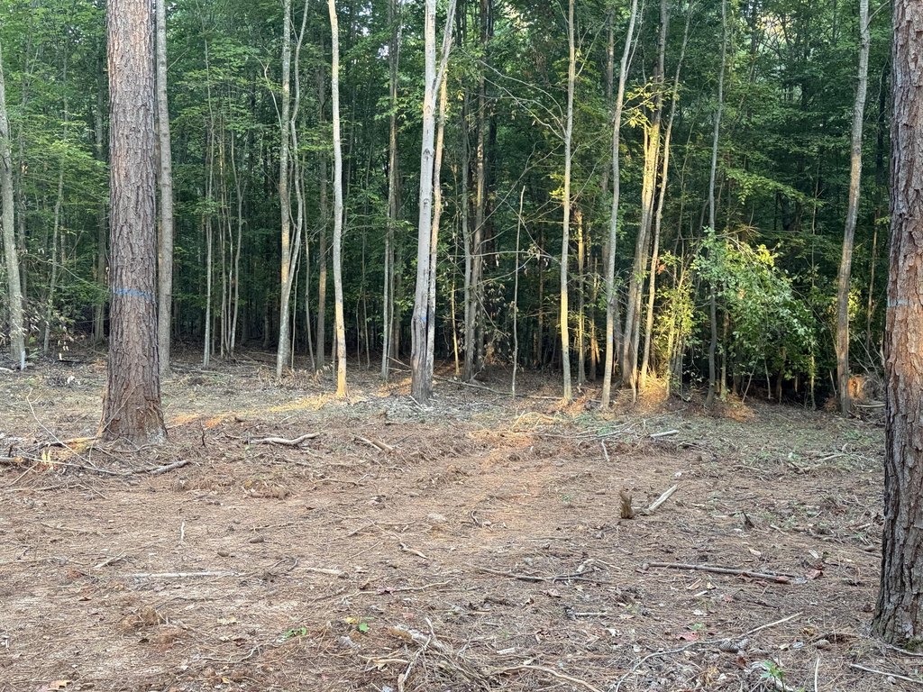 Picture 4