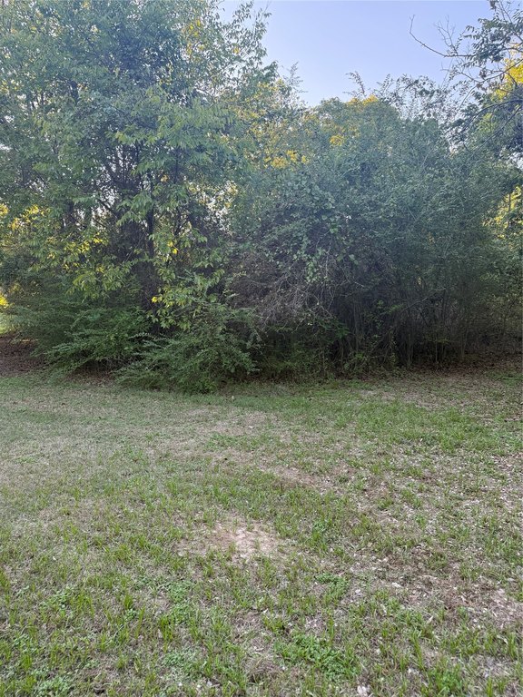 Picture 6