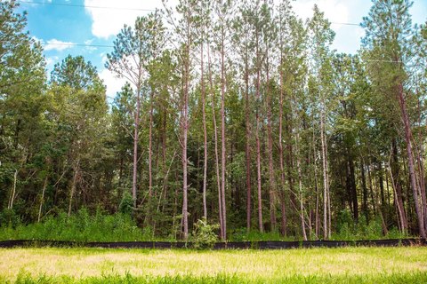 LAND - Clarks Hill, SC