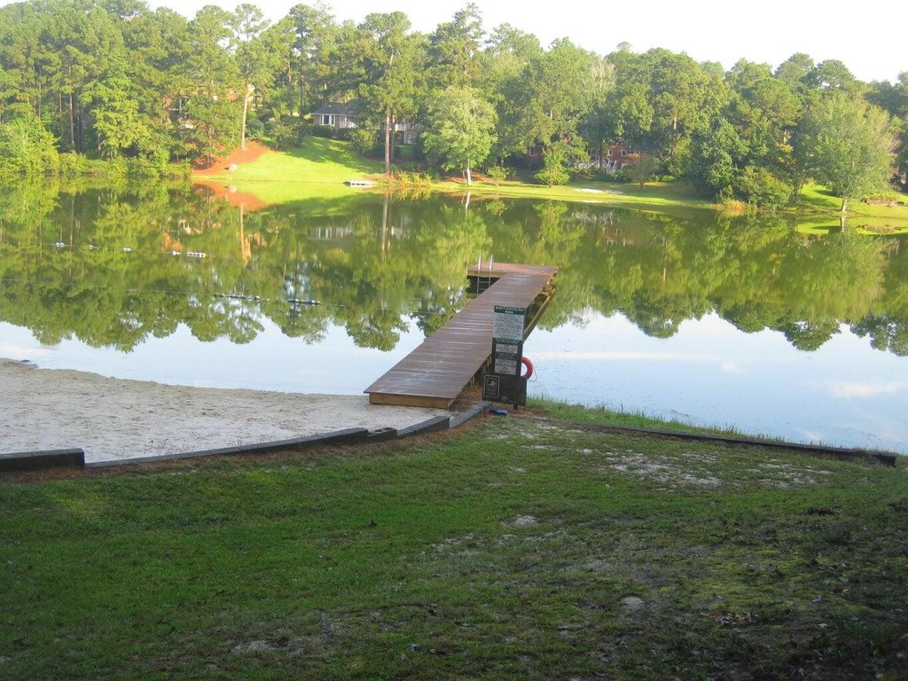 Picture 11