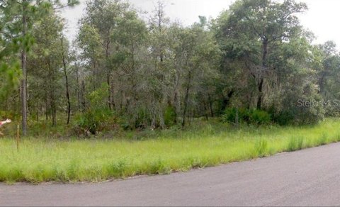 Corner Lot in Dunnellon, FL