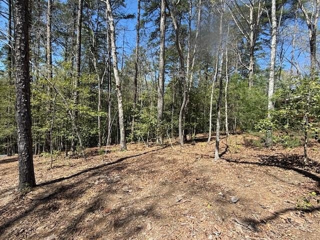 Wooded Lot with Utilities