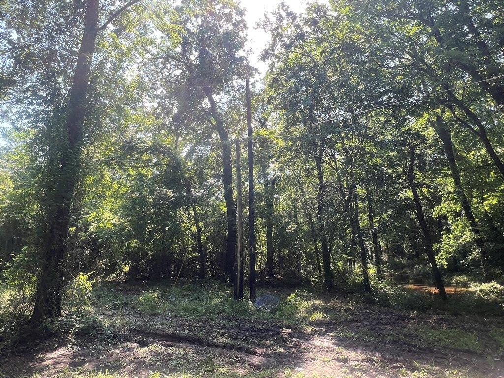 Picture 6