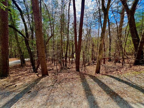 Corner Lot in Gated Mountain Community