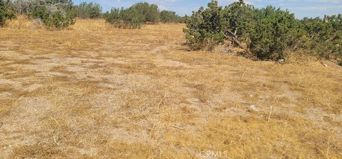 Spacious Land in Indio, CA