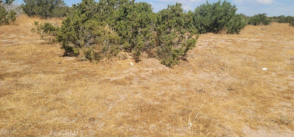 Picture 3