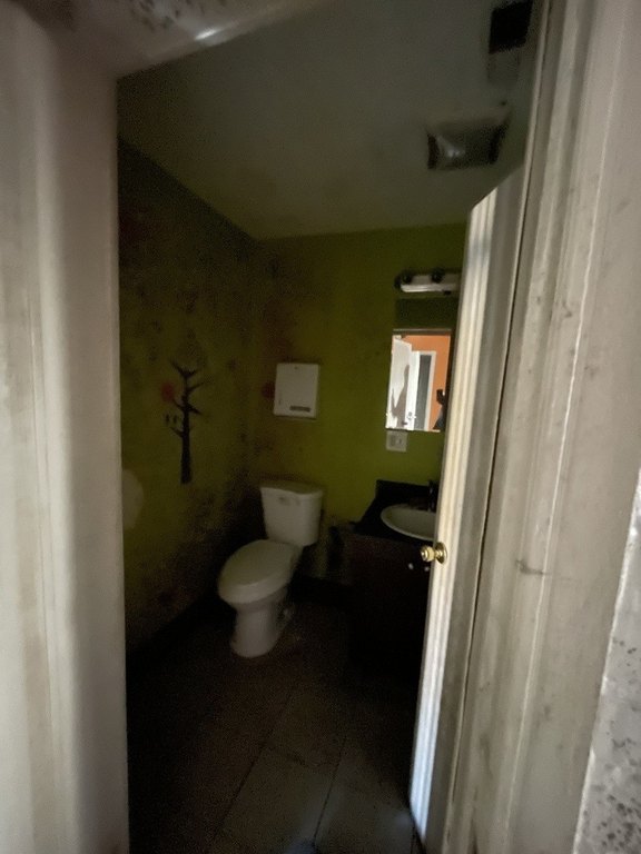 Picture 19