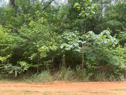 LAND - Lumberton, MS