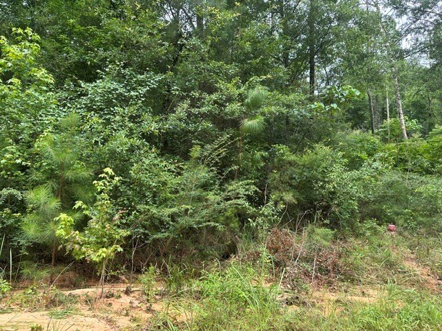 Picture 2