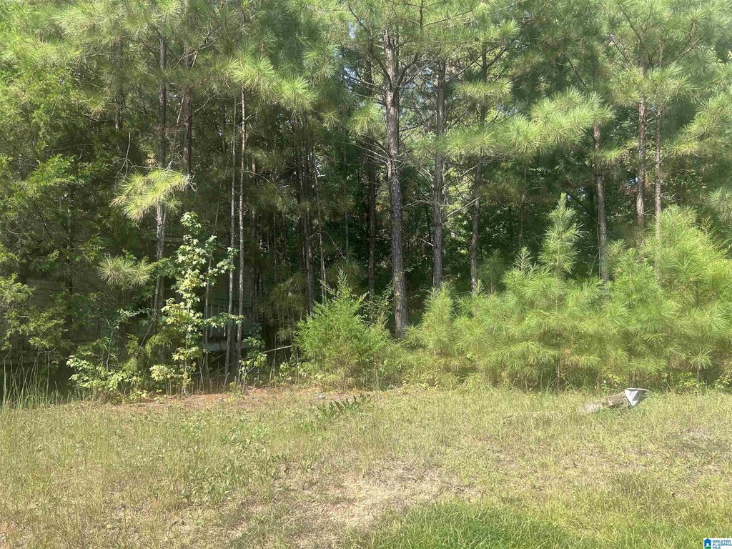 Picture 2