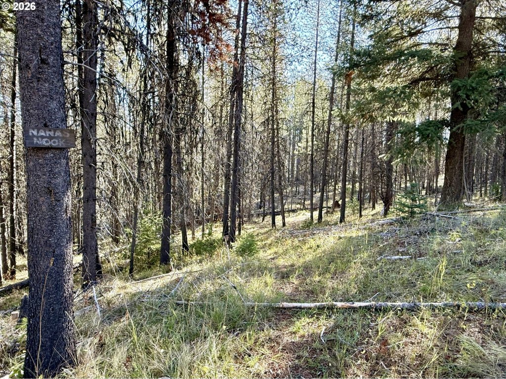 Picture 10