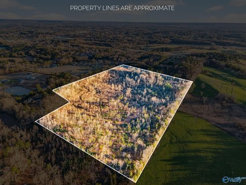 59 Acres Wooded Land Hartselle