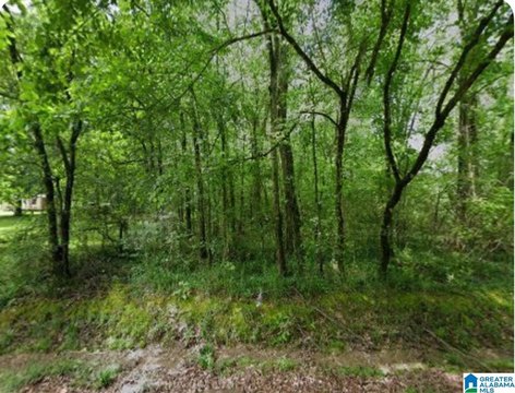 LAND/LOTS, BESSEMER, AL