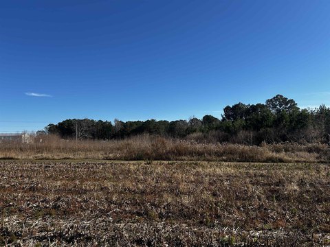 Cleared Land Parcel in Loris