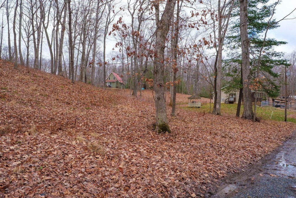 Picture 14