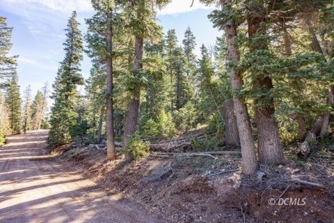 Recreation Land Lot in Duck Creek Village