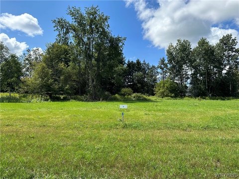 Land For Sale, Allegany, NY